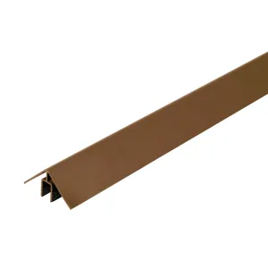 WEO alu Klikprofiel 50x50mm - L=300cm