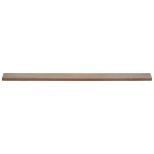 Beuken stofdorpel 1 m¹