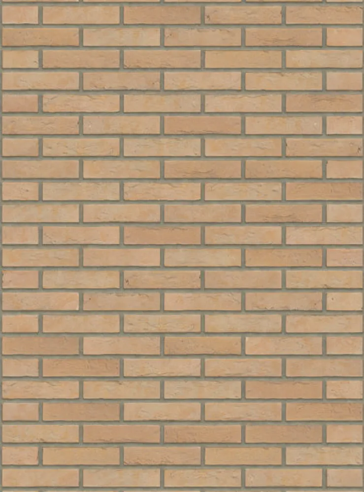Sterrewaard Handvorm Waalformaat Carina Pallet 400 st
