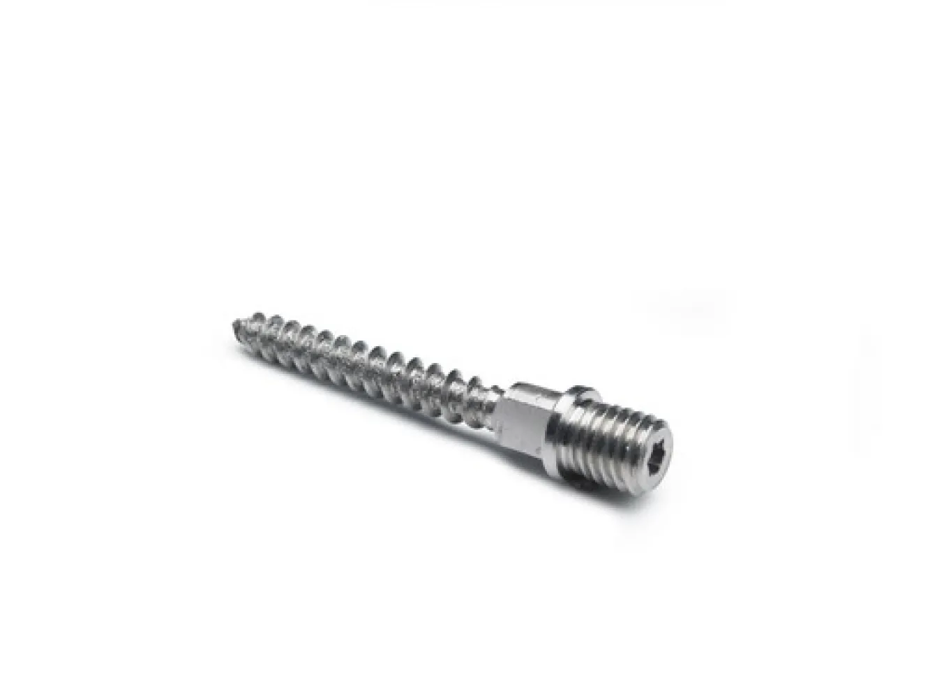 RHEINZINK schroefstift RVS M10x70 mm voor scharnierpijpbeugel