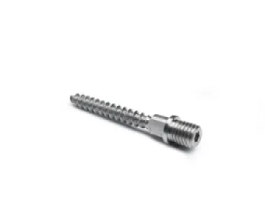 RHEINZINK schroefstift RVS M10x70 mm voor scharnierpijpbeugel