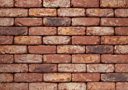 Vandersanden Oud Maasland Handvorm Waalformaat - pallet à 800 stuks