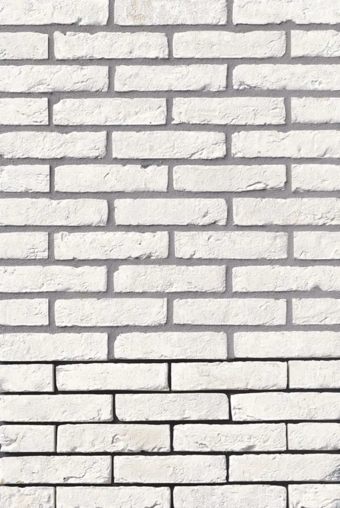 Vandersanden Rainbow White Handvorm Waalformaat - pallet à 800 stuks