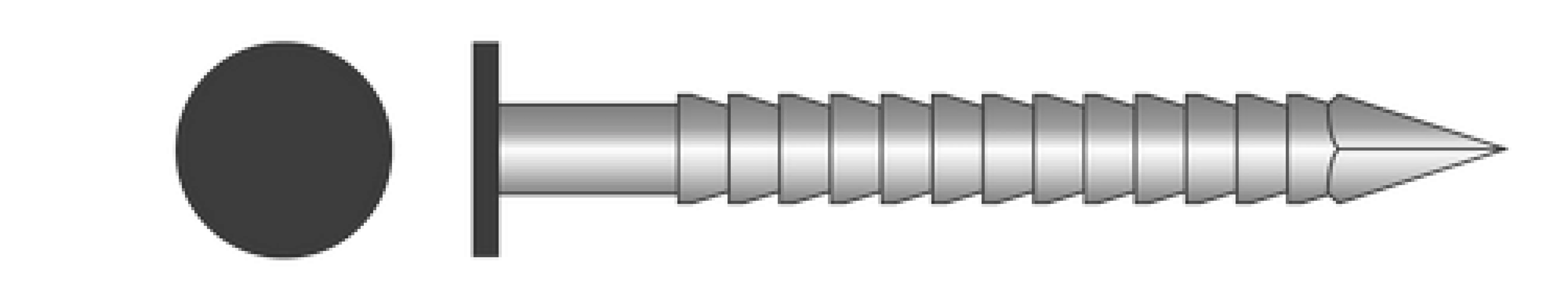 Ringnagel platkop RVS A4