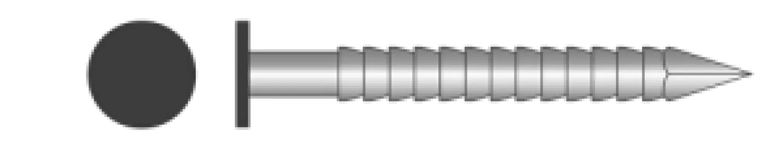 Ringnagel platkop RVS A4