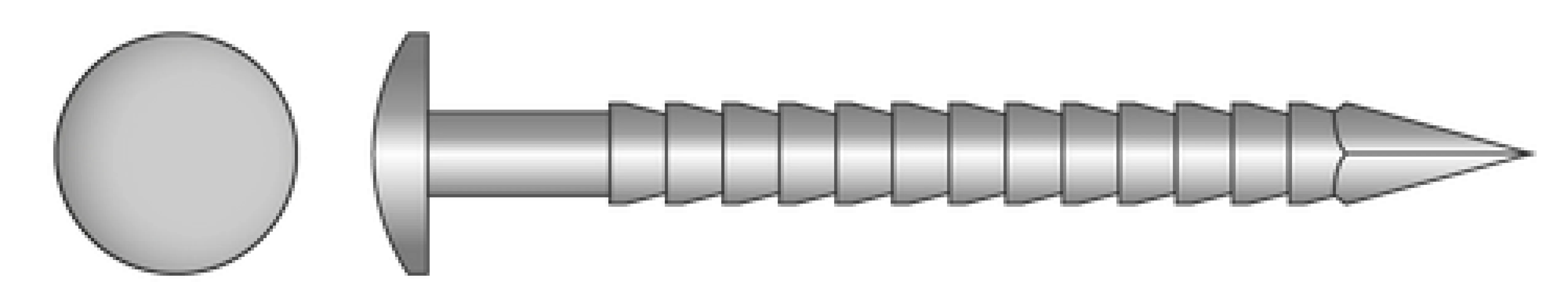 Ringnagel bolkop RVS A4