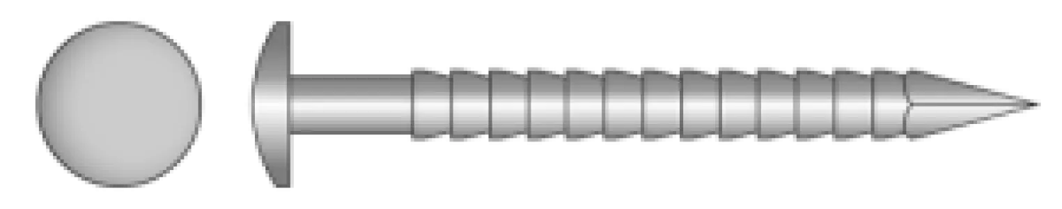 Ringnagel bolkop RVS A4