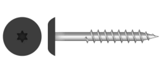 HPL Schroef RVS A4 RAL 9005 4,8x38 mm